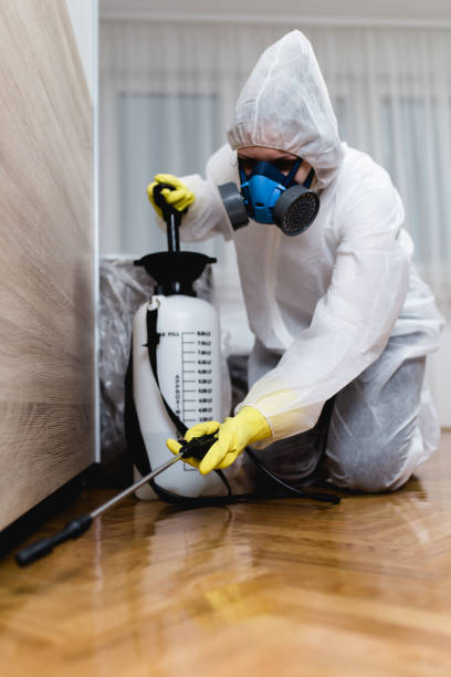 Best Emergency Pest Control  in San Jacinto, CA